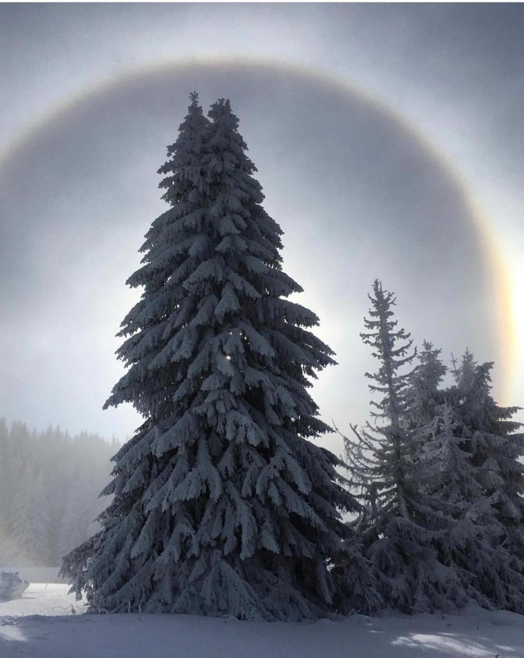 Silver Mountain Milmari Копаоник Екстер'єр фото